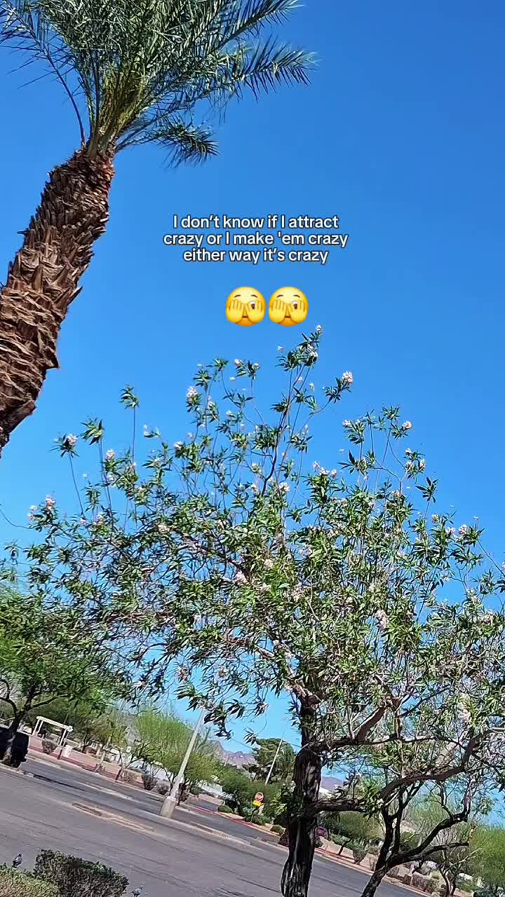 @Megan