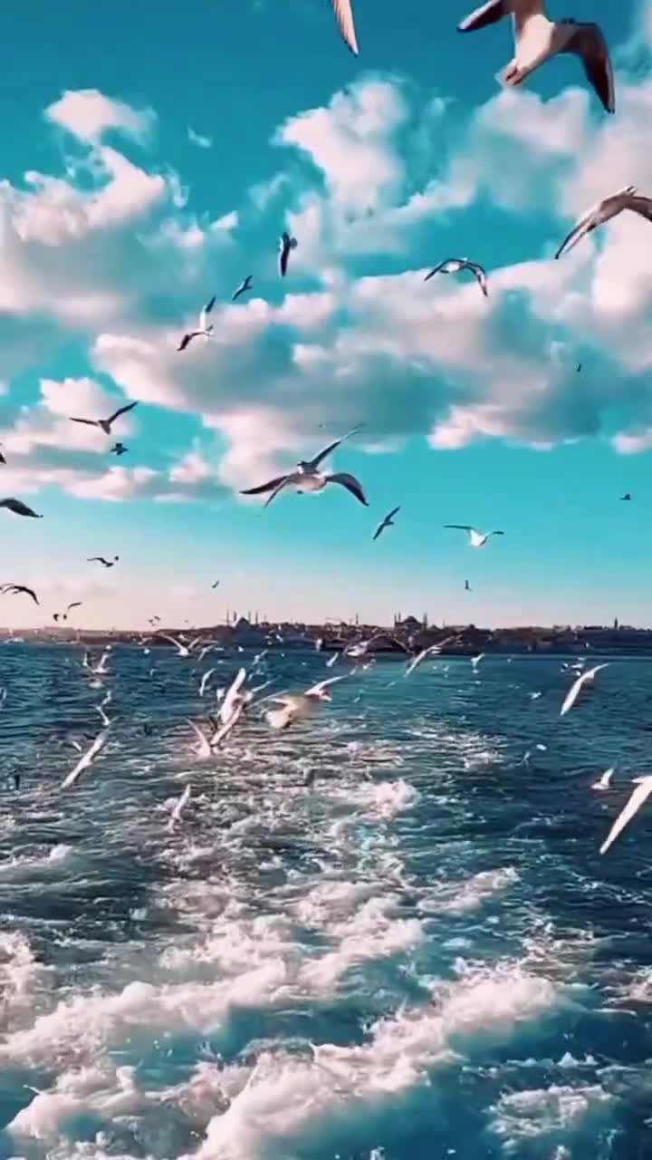 @acı hayat