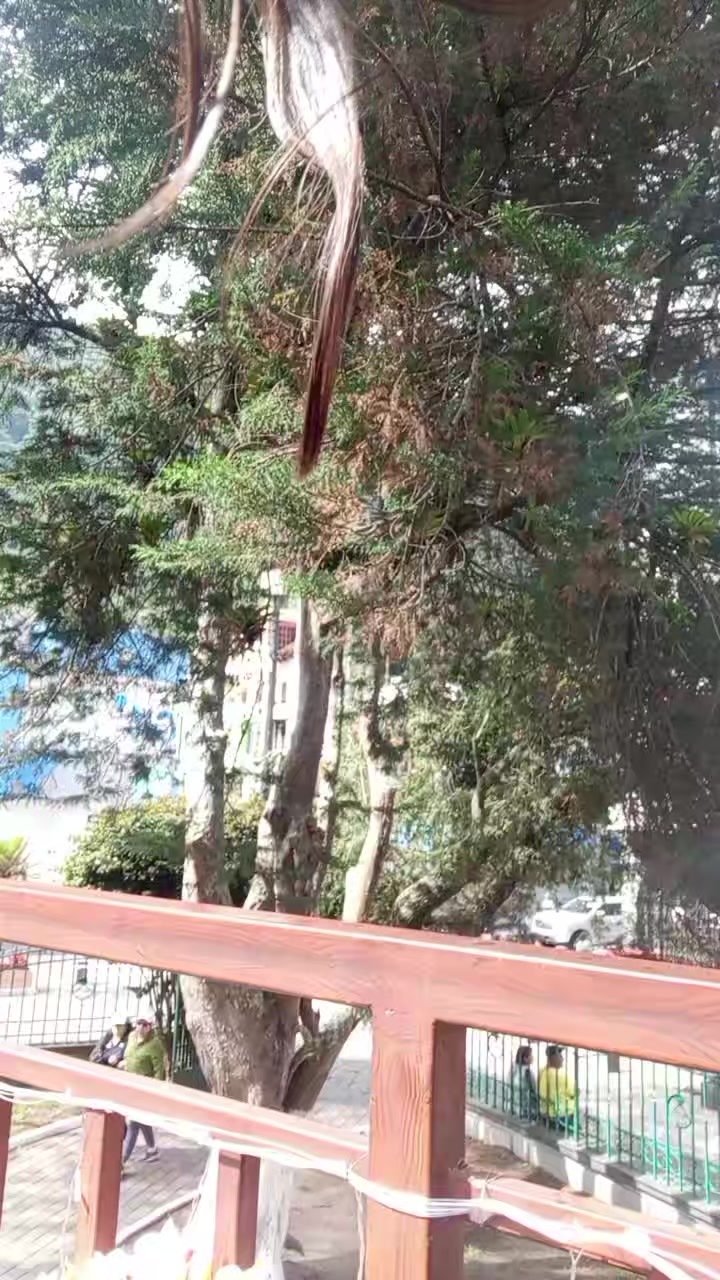 @GabyLC _🫦