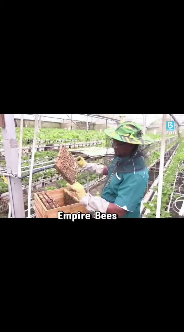 @Bio3era Luxury Herbs