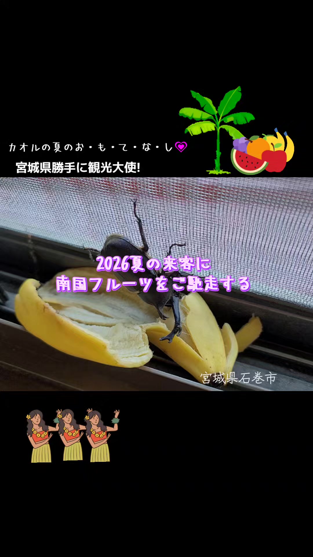 @cjカオル