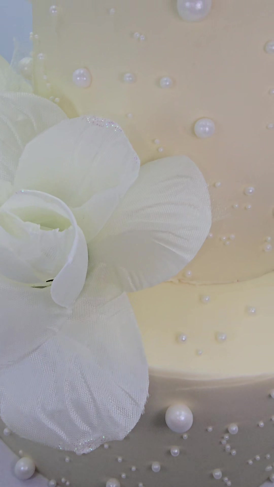 @Sweet & Moist Cakes | ๐ฐ๐พ๐ฏ๐ฒ