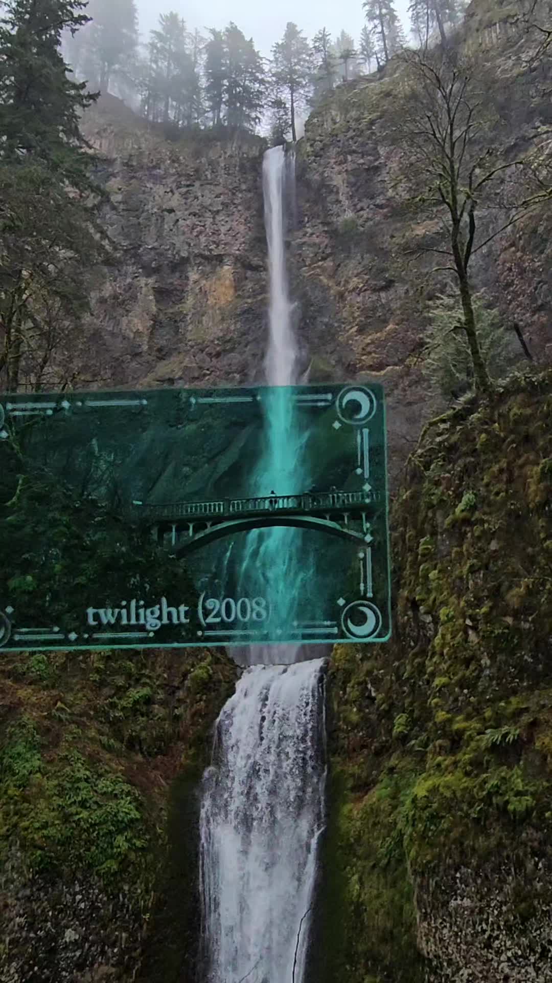 @TwilightPNW