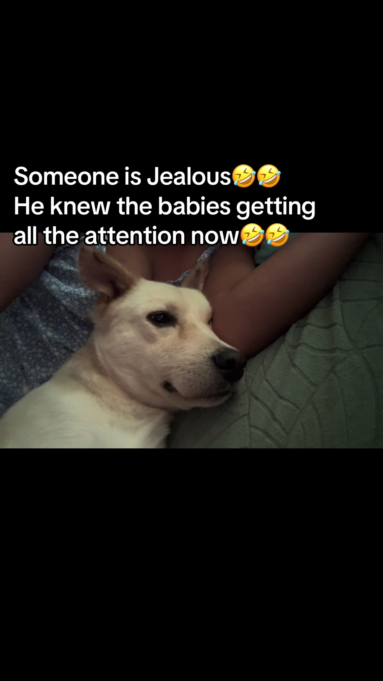 @🖤