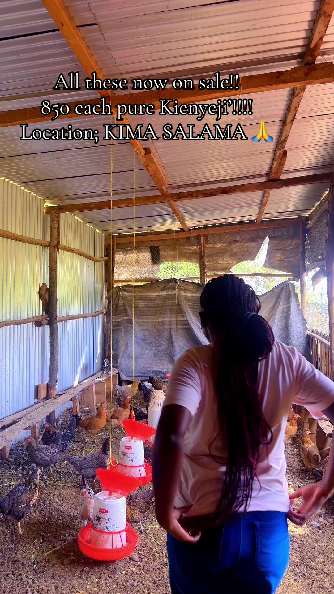 @kimasmartfarmsltd