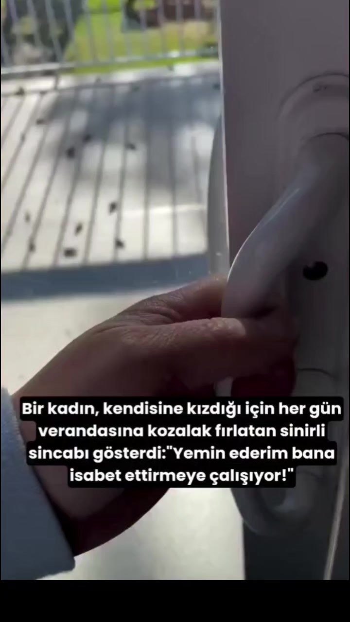 @Kader