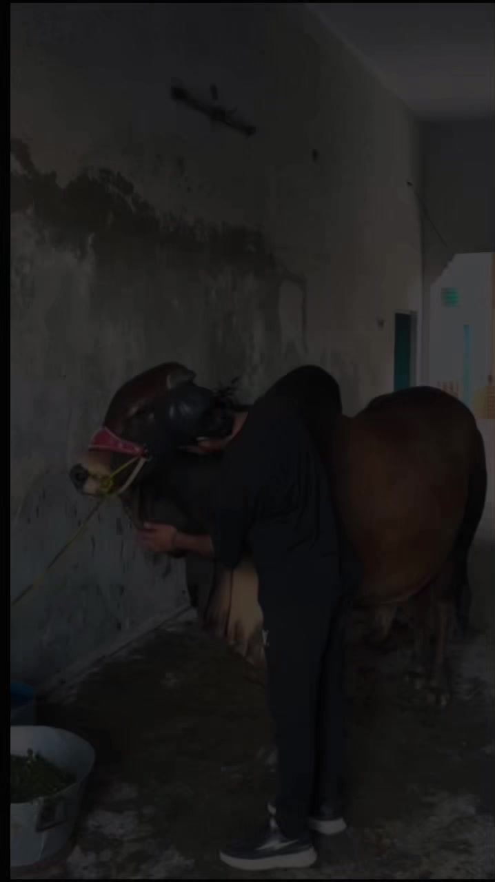 @چوہدری سعود 乛❤️&zwj;🔥✨