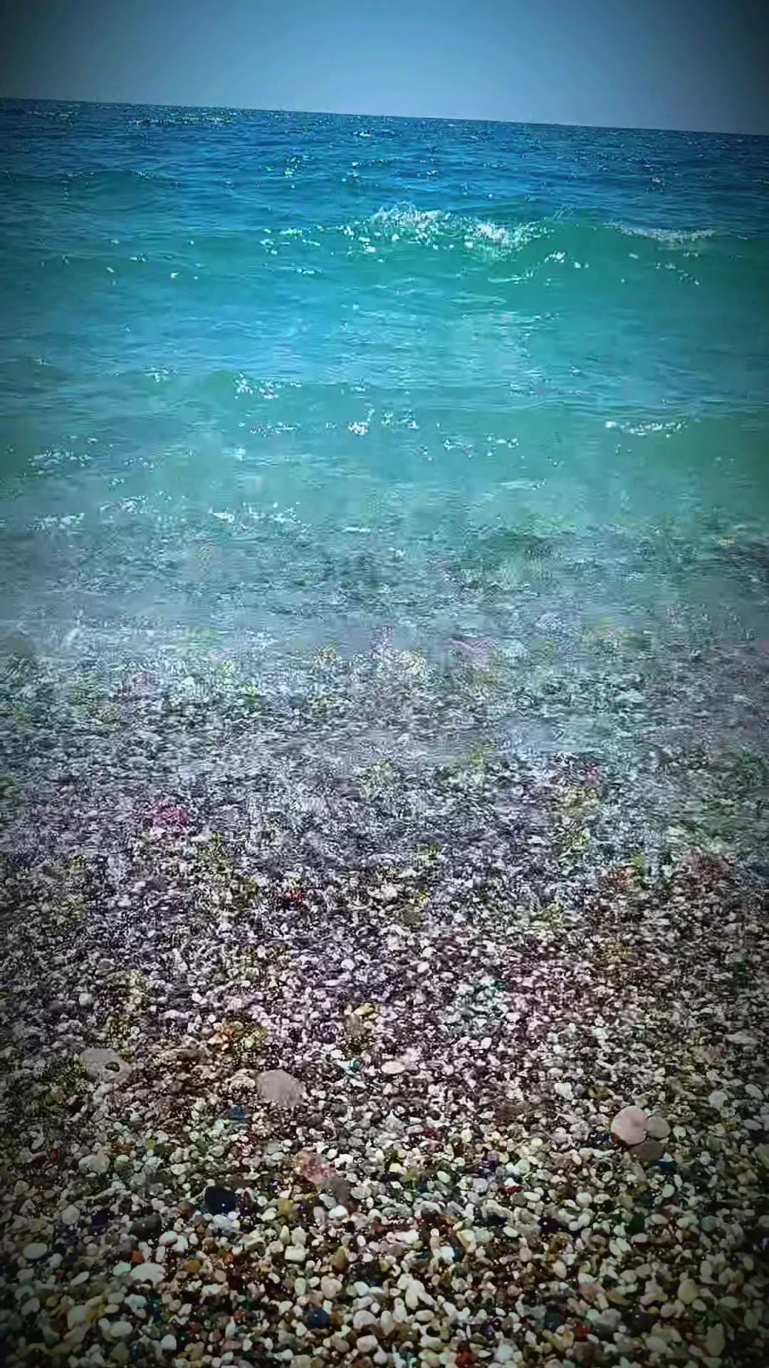 @Ayşegül Akar