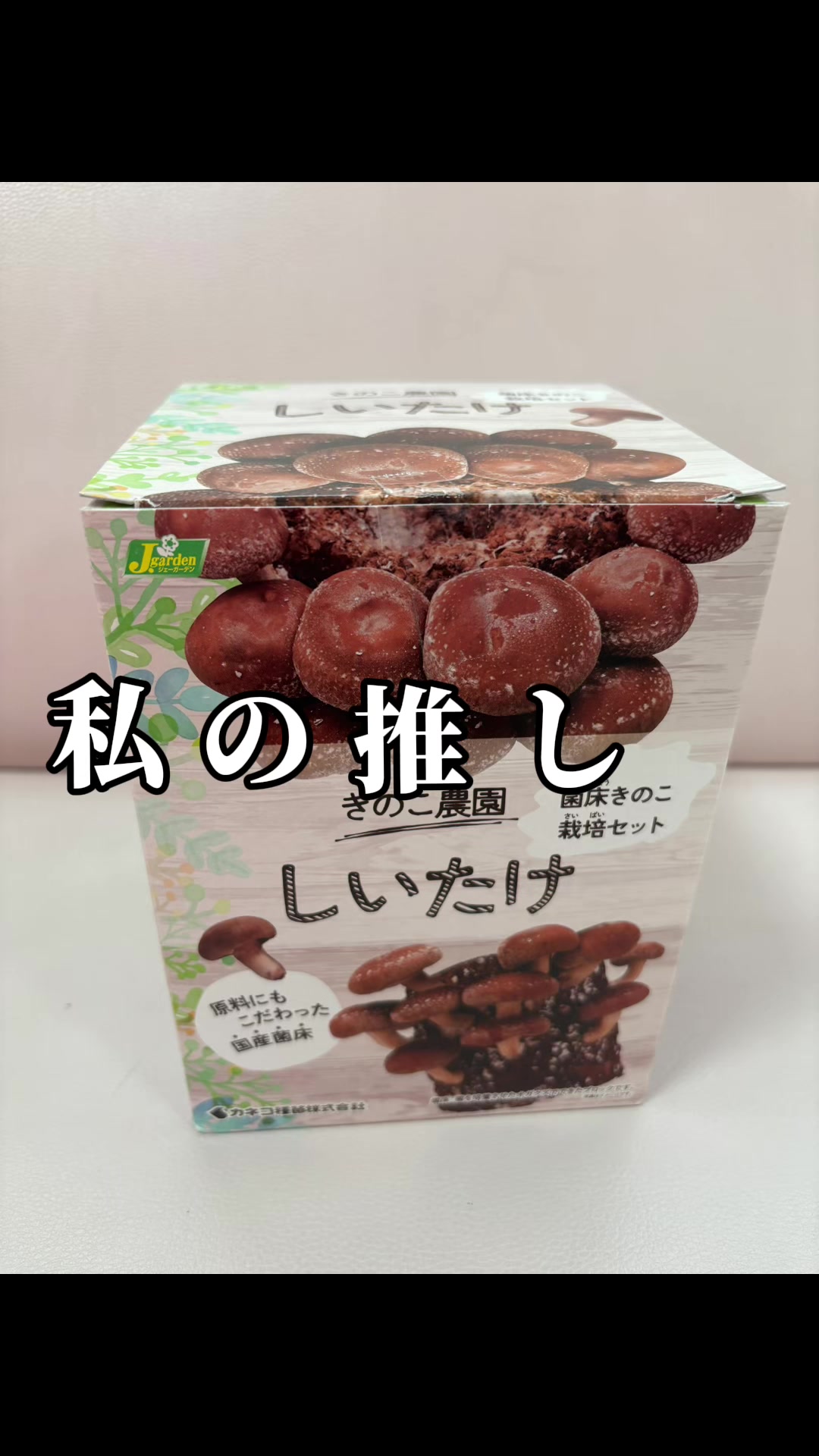 @ふじた整骨院