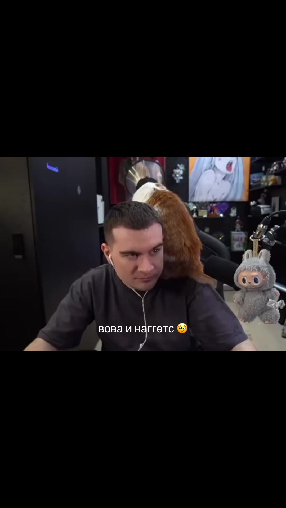 @risfera