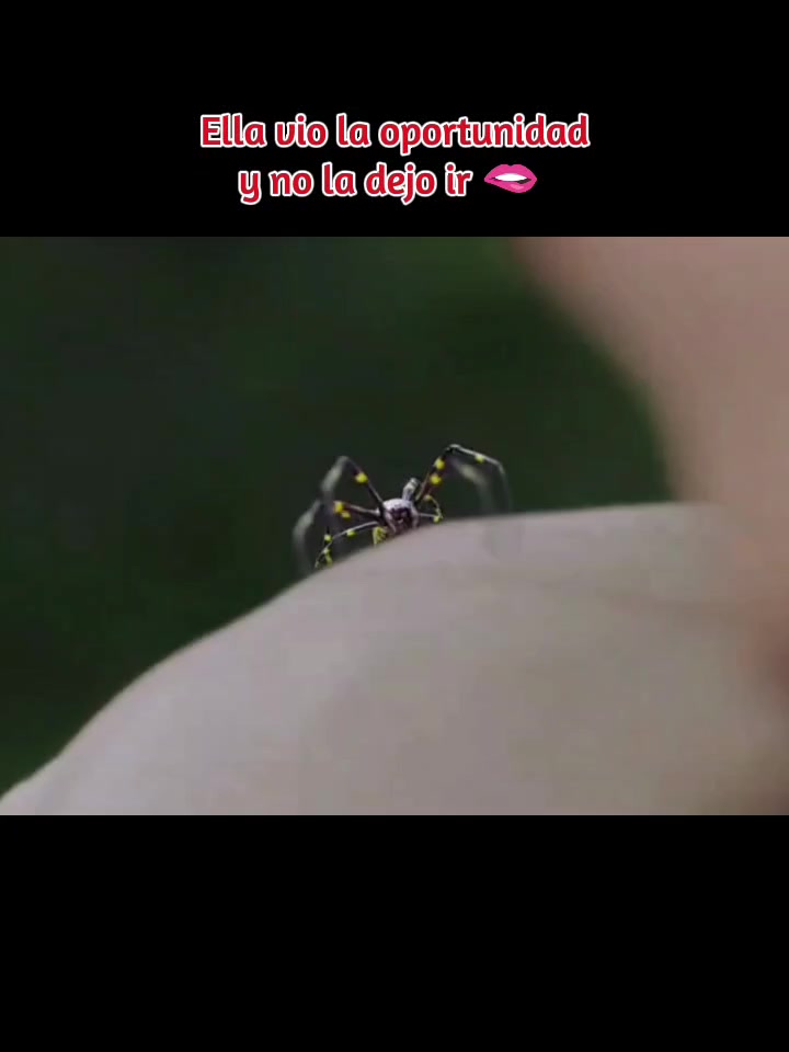 @LOVE KDRAMAS ✨💜