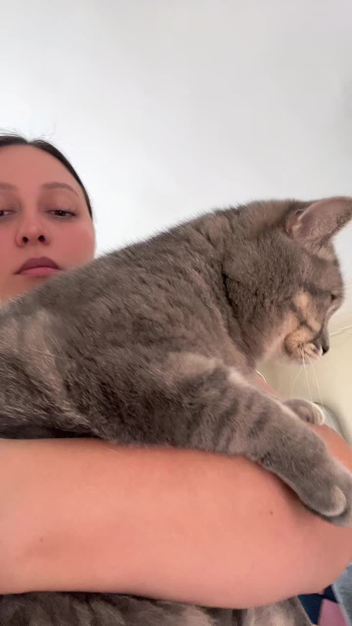 @theozlmm