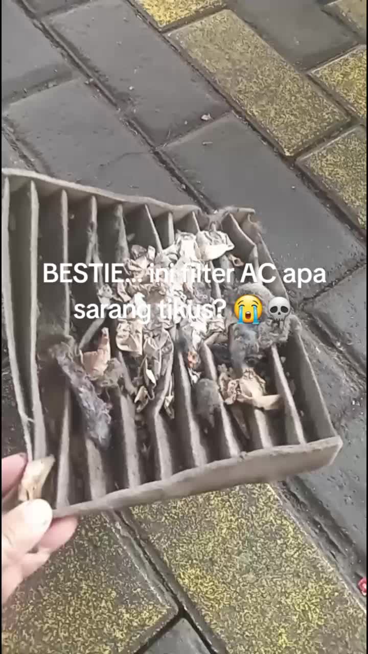 @bengkel mobil fortuna