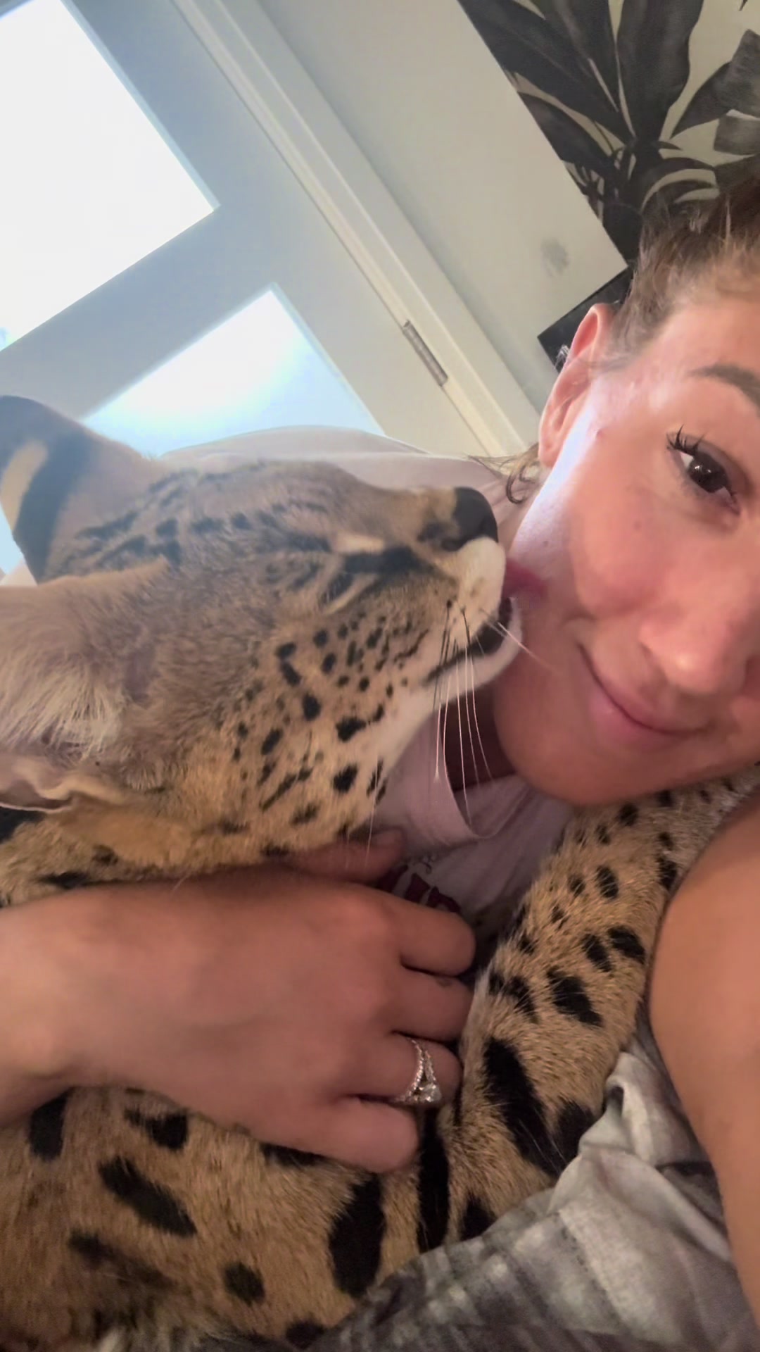 @milo the serval