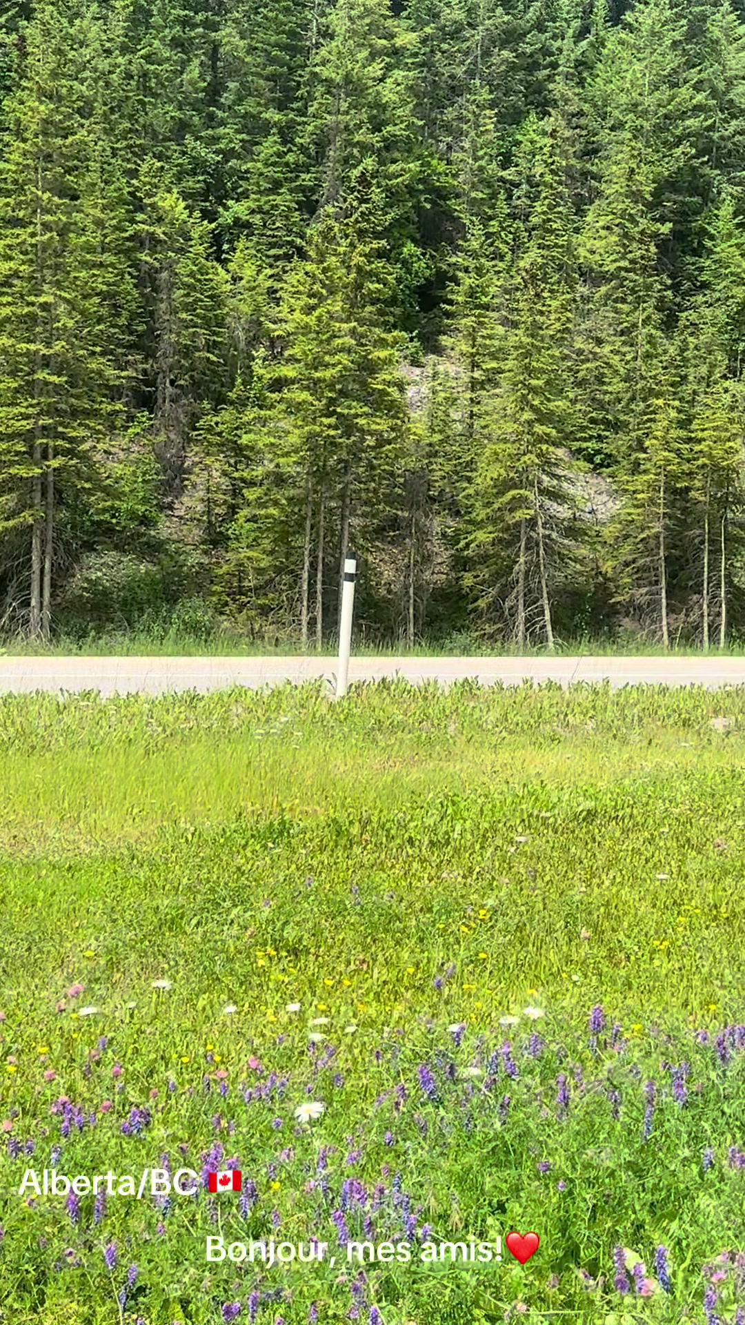 @Ada 🇨🇦