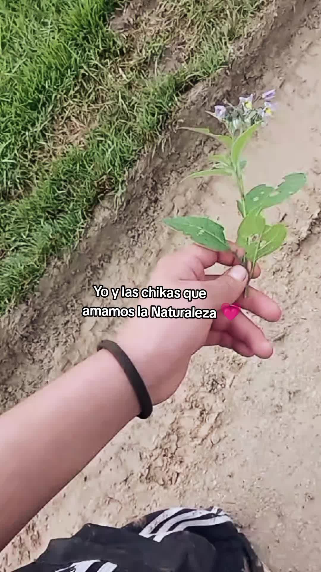 @😻🦋