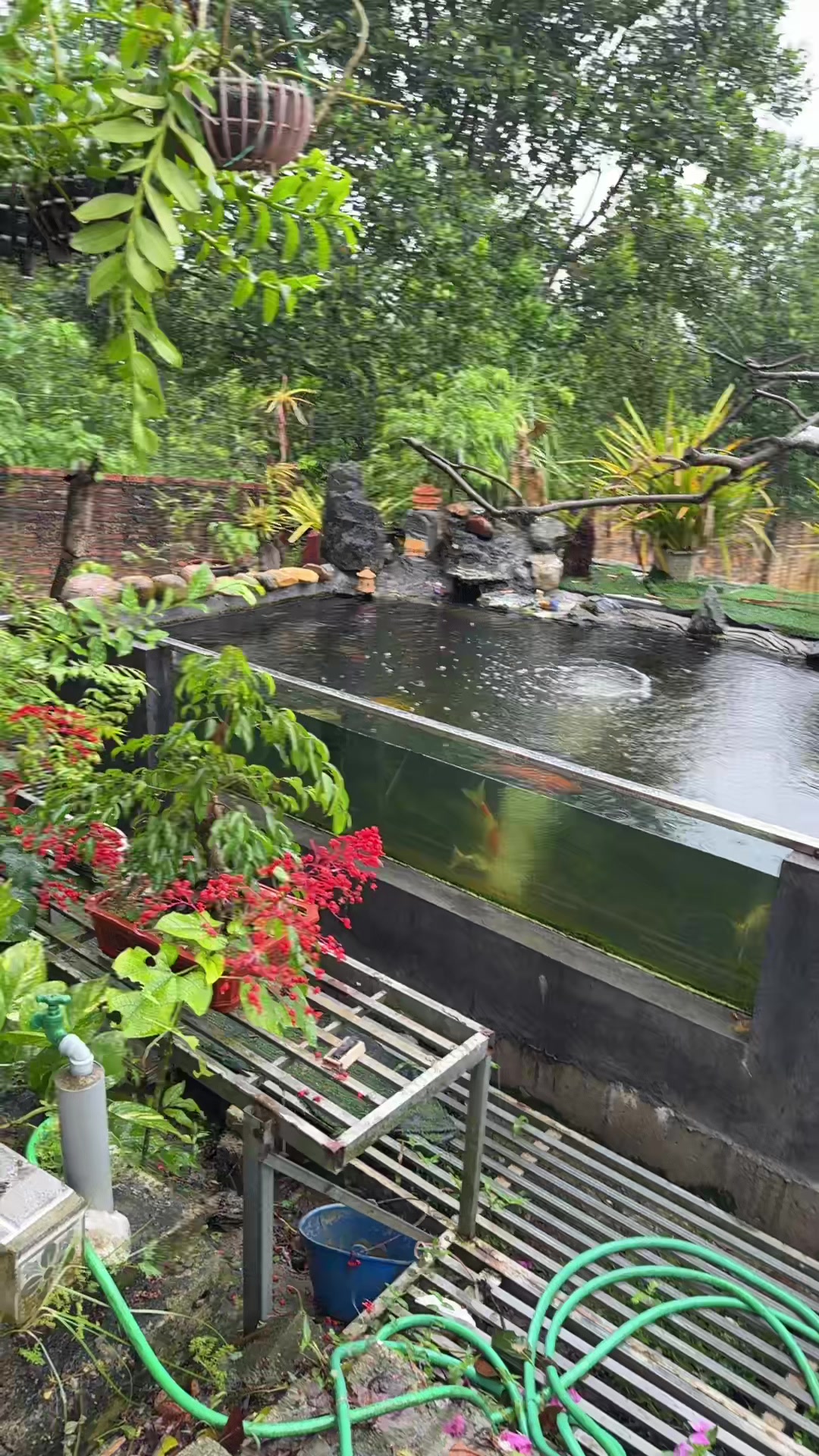 @CỎ MAY