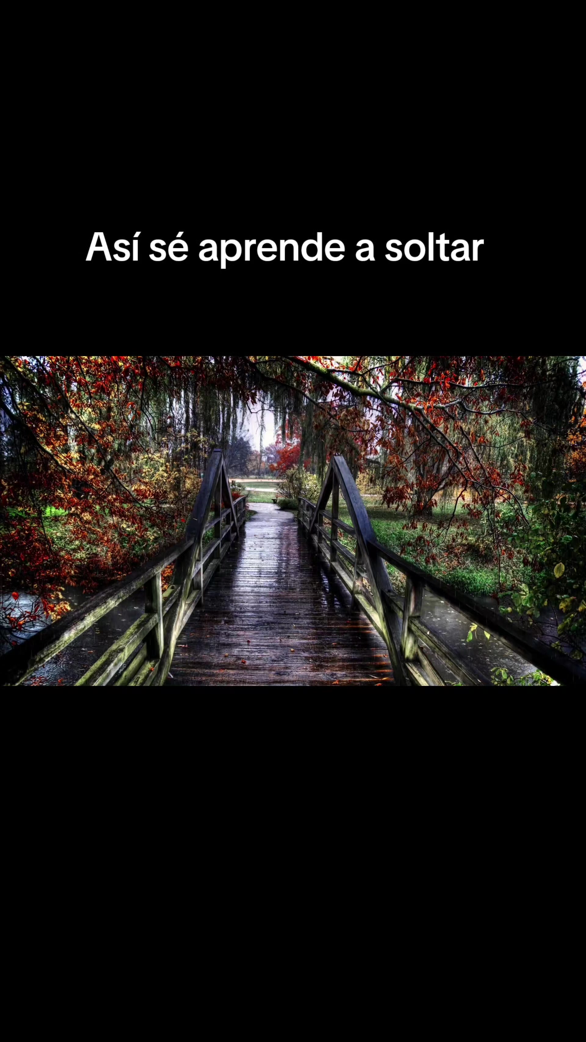 @Chuy Cano