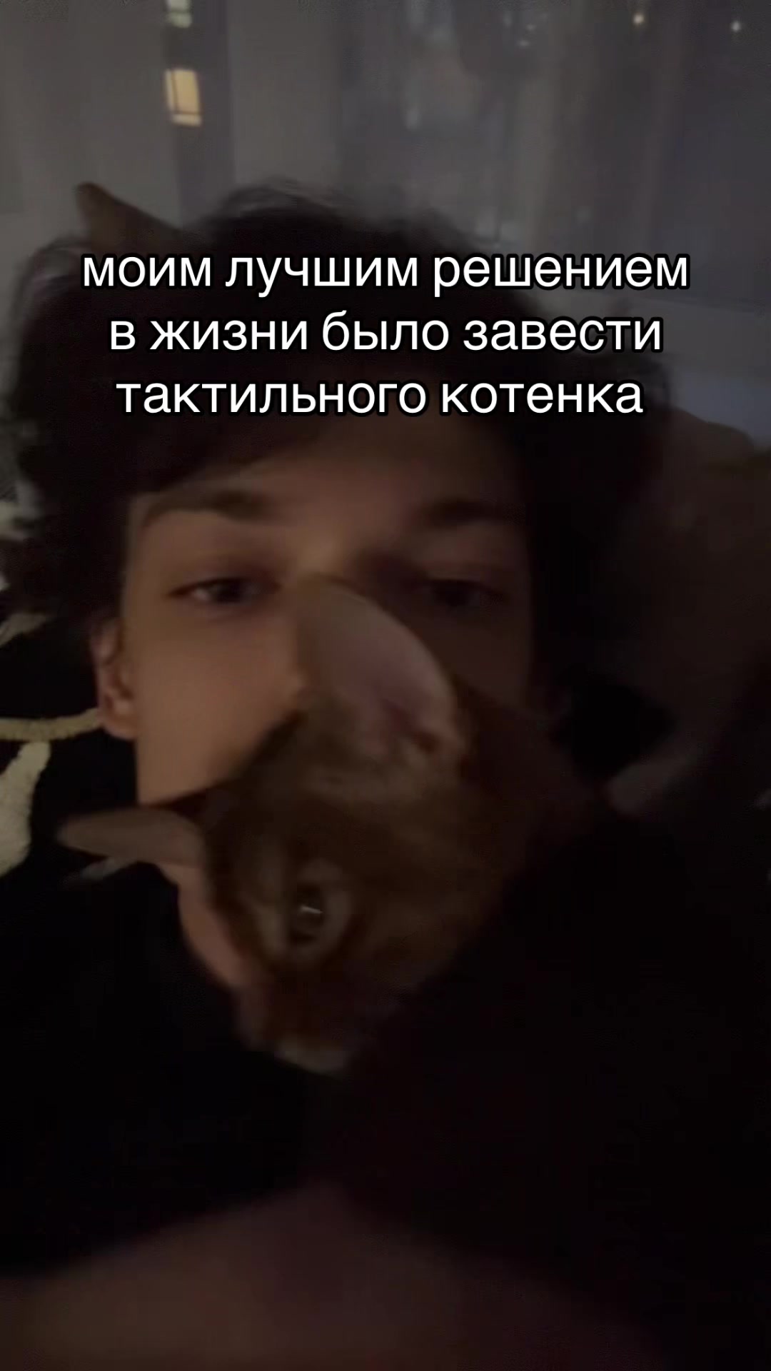 @ikari_toru
