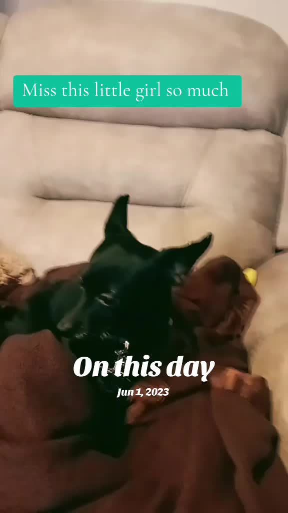 @ᛑᛗᛛ✨️🖤 Kayla 🎧ᛑᛗᛛ