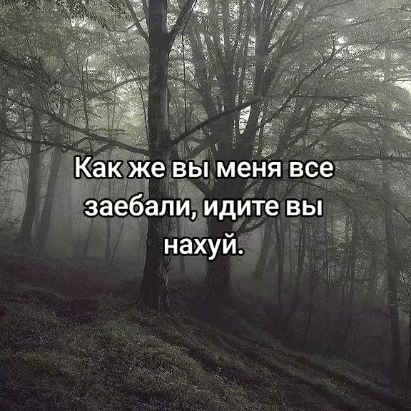 @s1mple