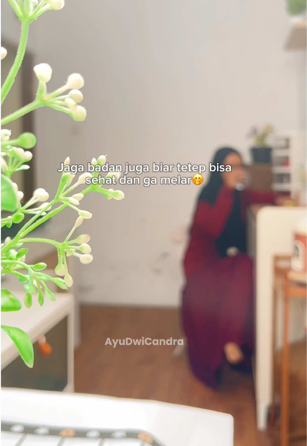 @RumahMiniAyu