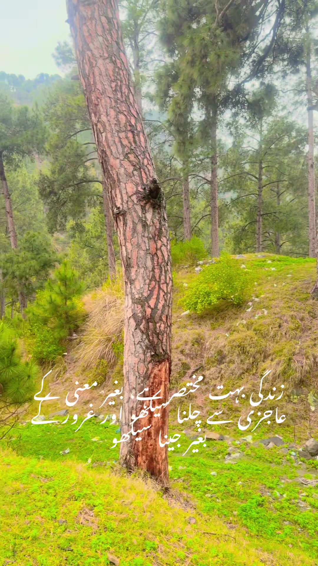 @Dr Abdullah jan
