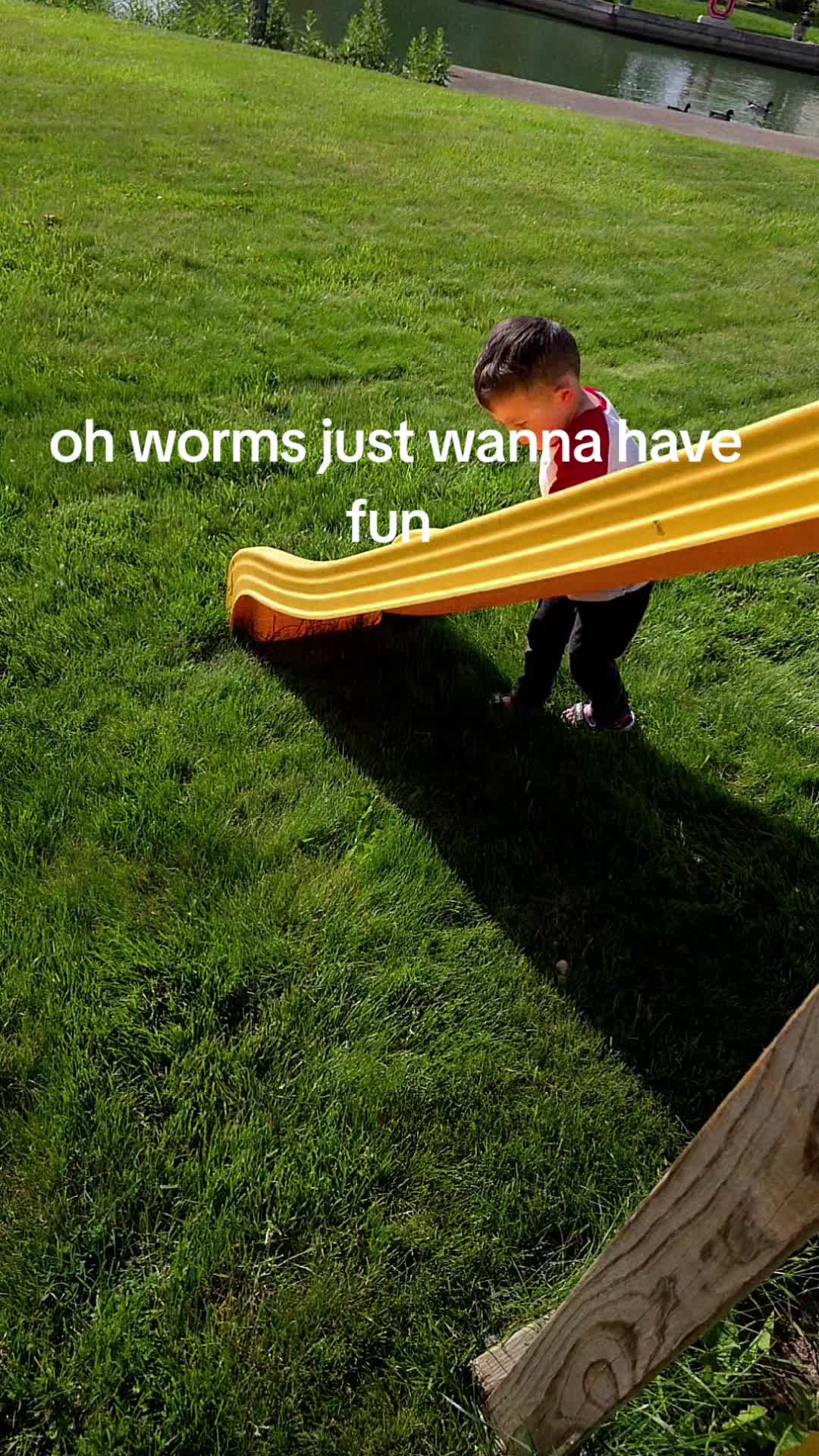 @Shan