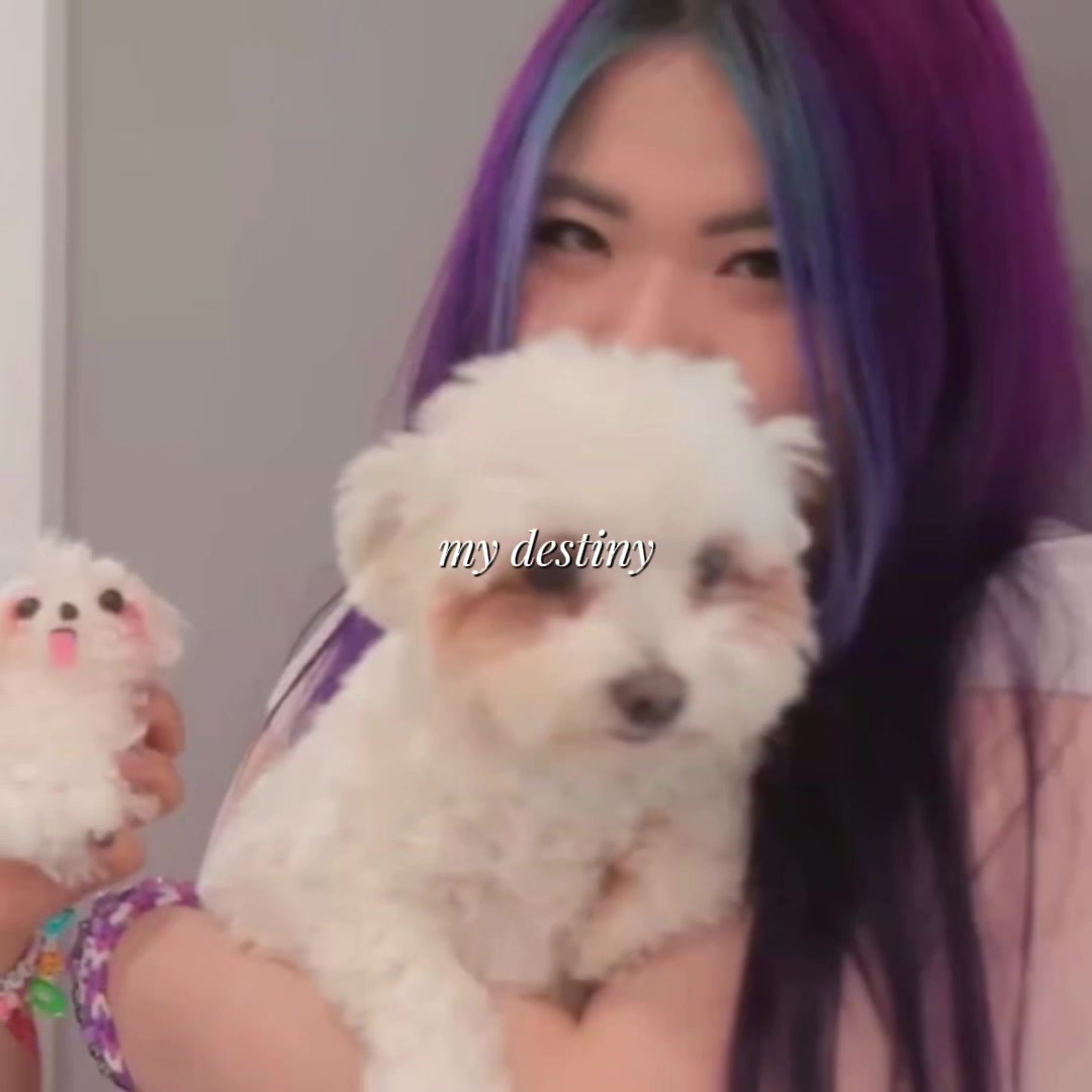 @kfloof