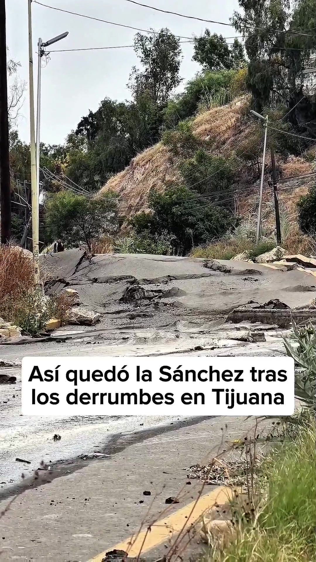 @Siempre en la Noticia
