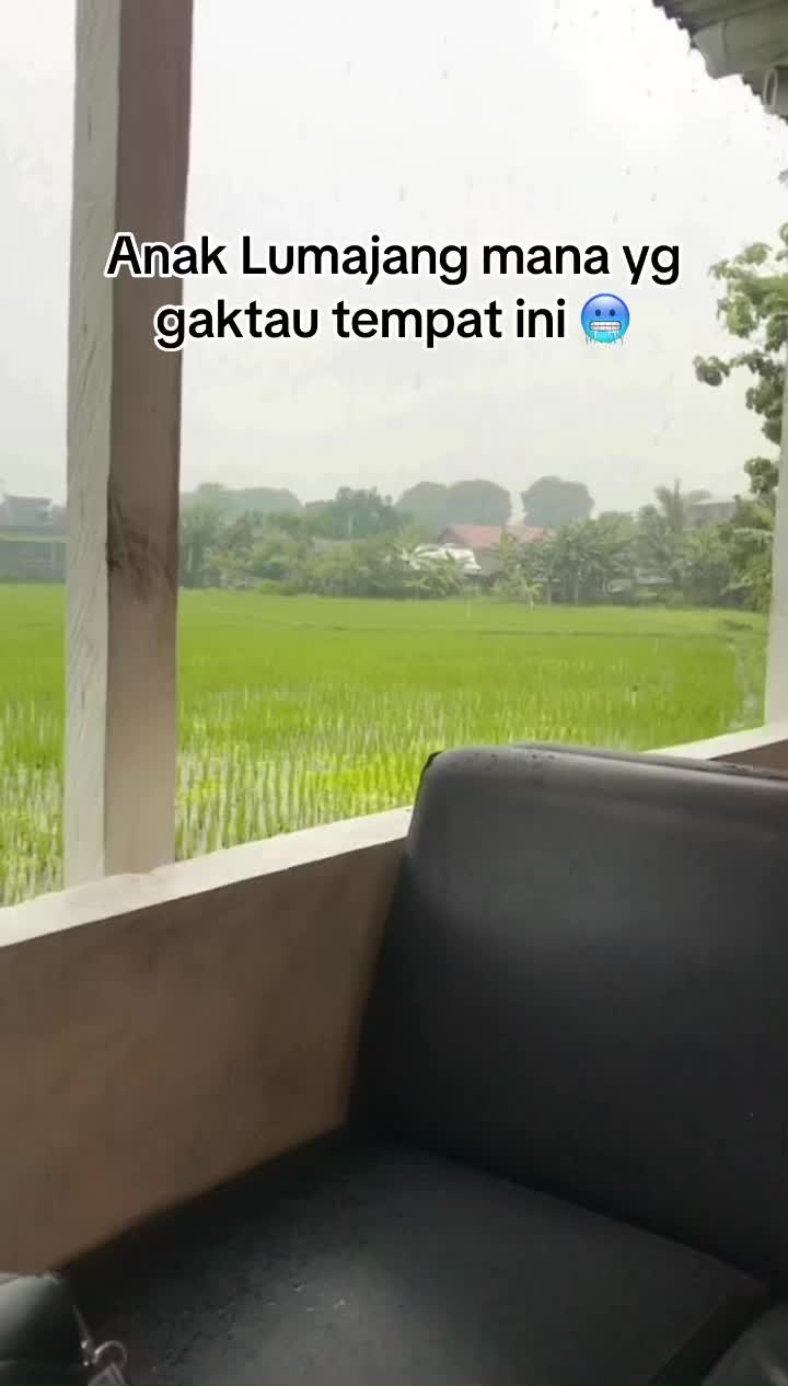 @kaktara24