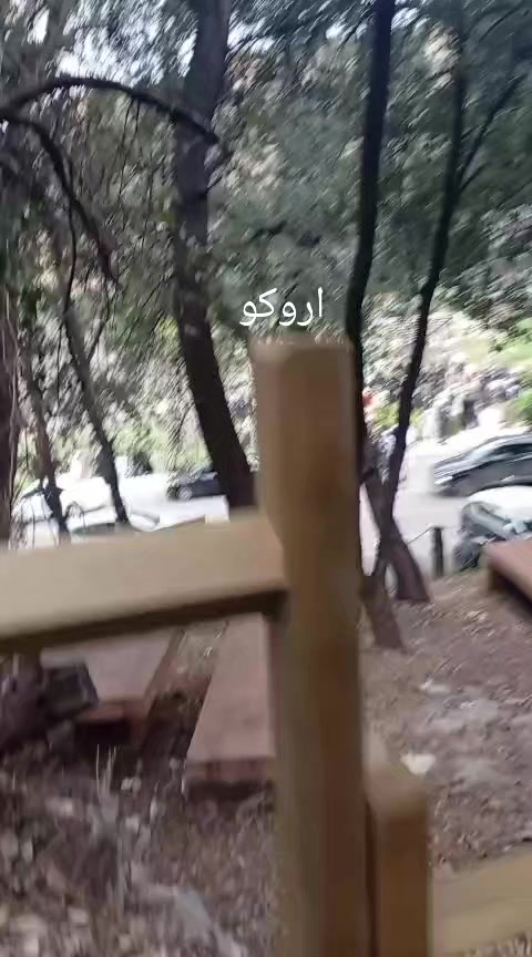 @Dounya Hayate