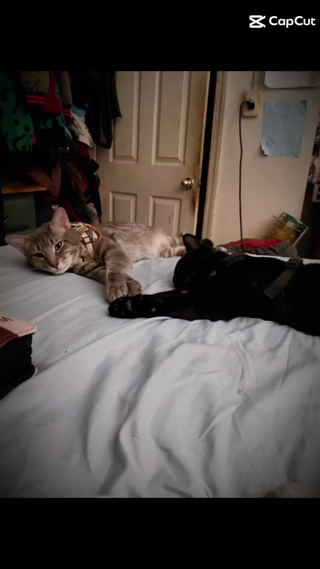 @ZayneGirlie27LADS