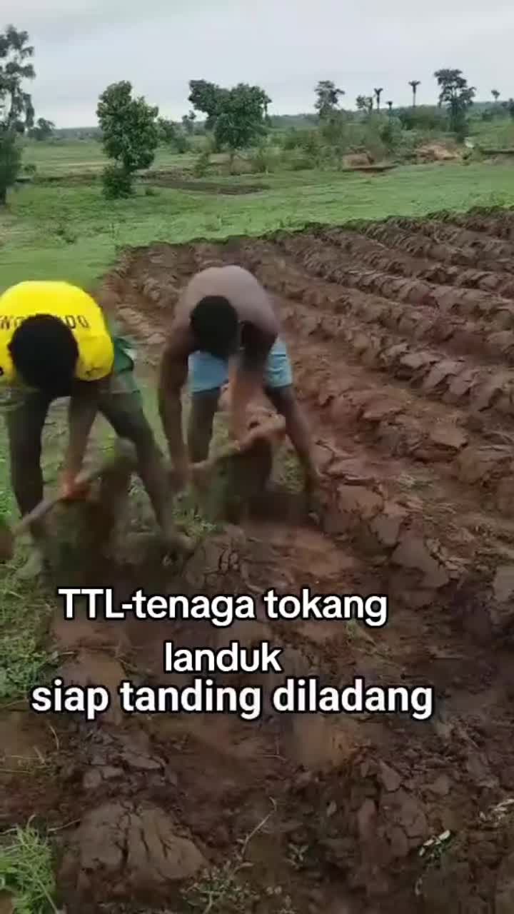 @Muhammad Najib
