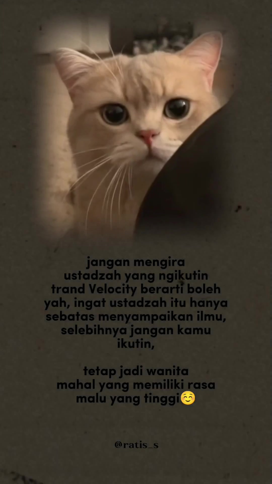 @ratsss