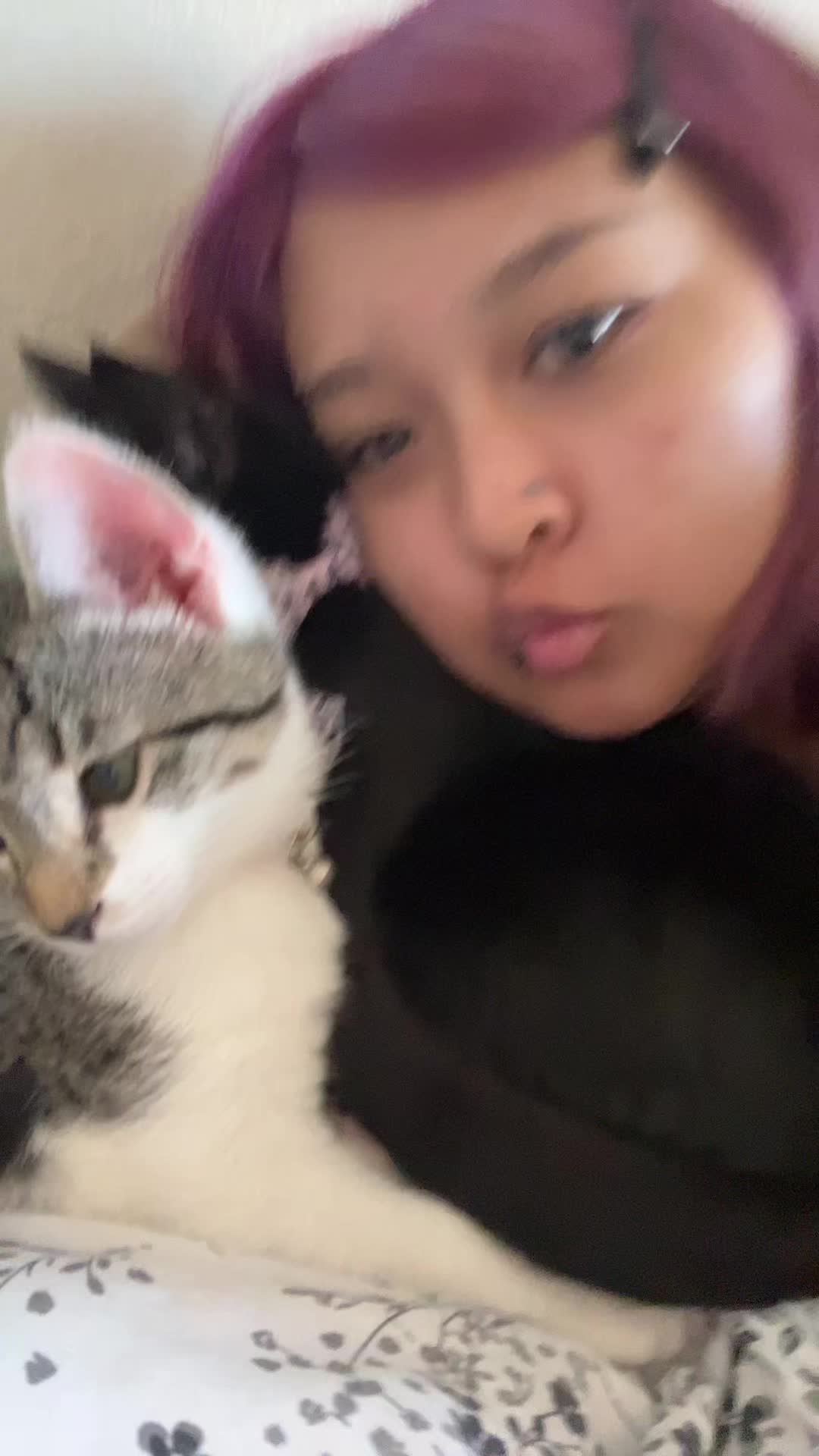 @kemkemlolz