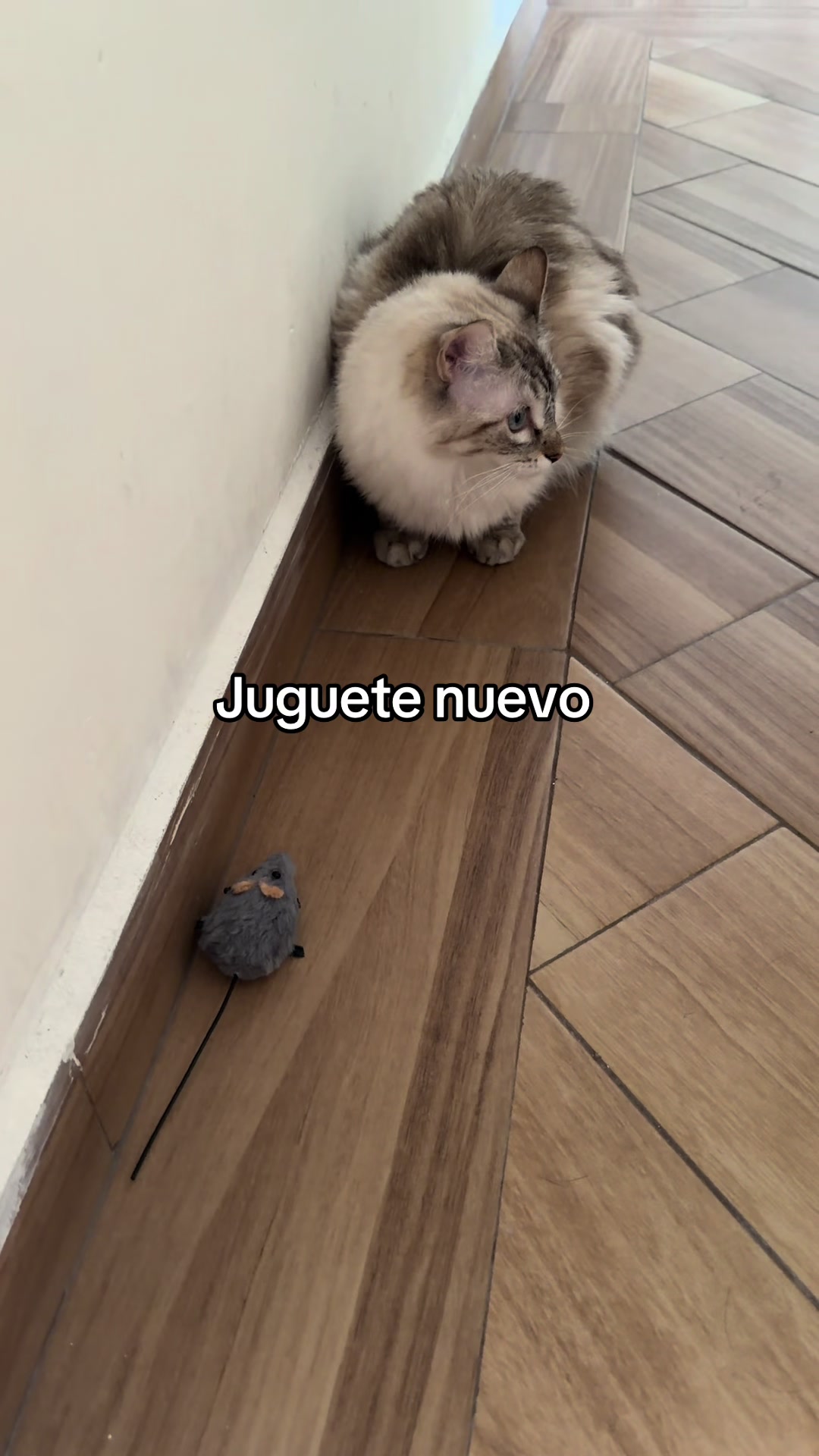 @Adrián Digi
