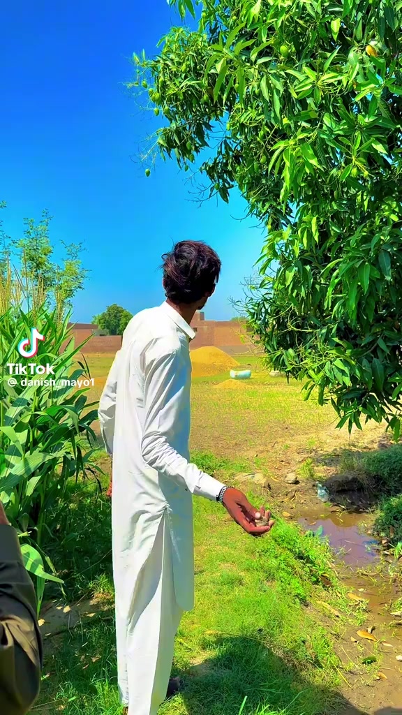@+ hI🤙 ! , LeVEl👑 , ShAHzAda?