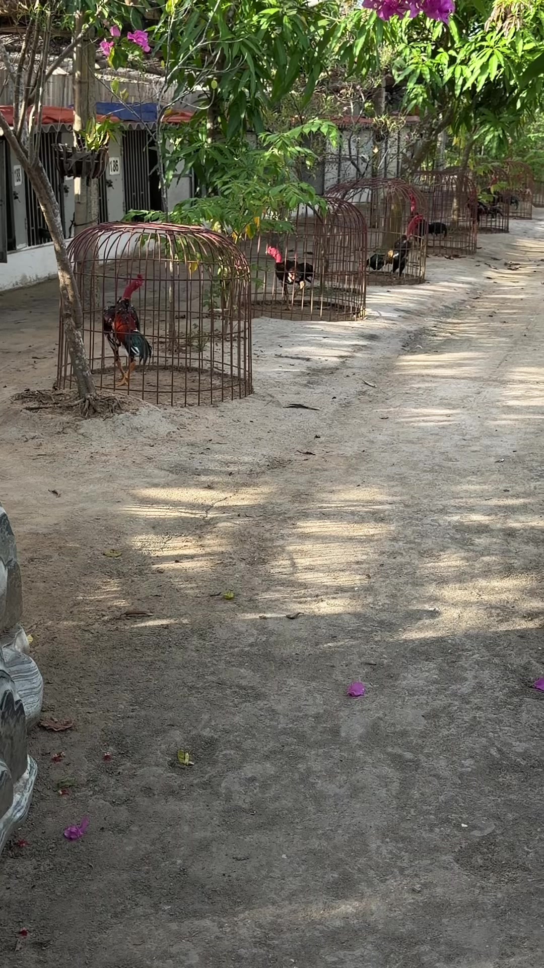 @Quốc kh&aacute;nh