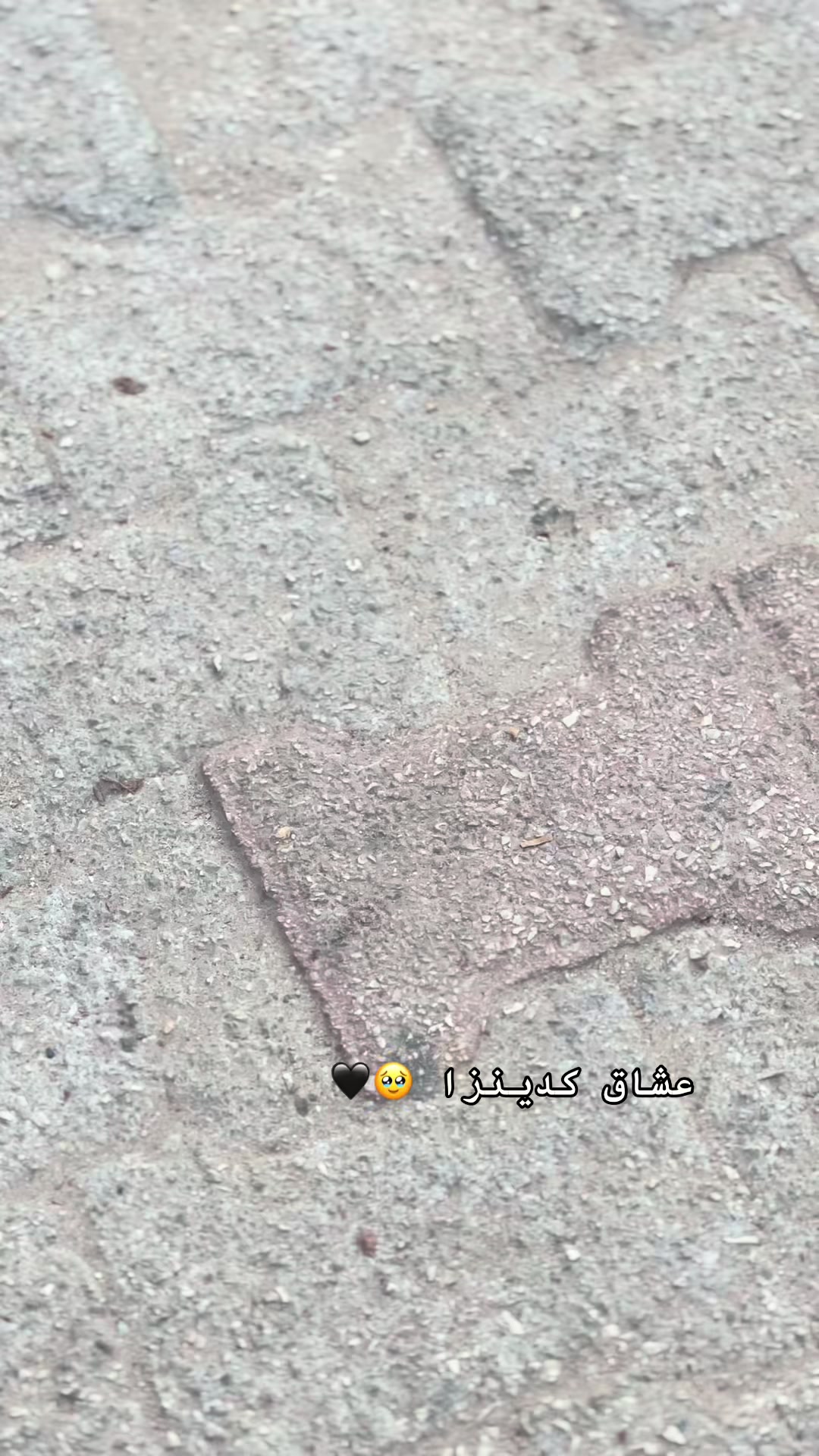@نجد 🤎⚜️