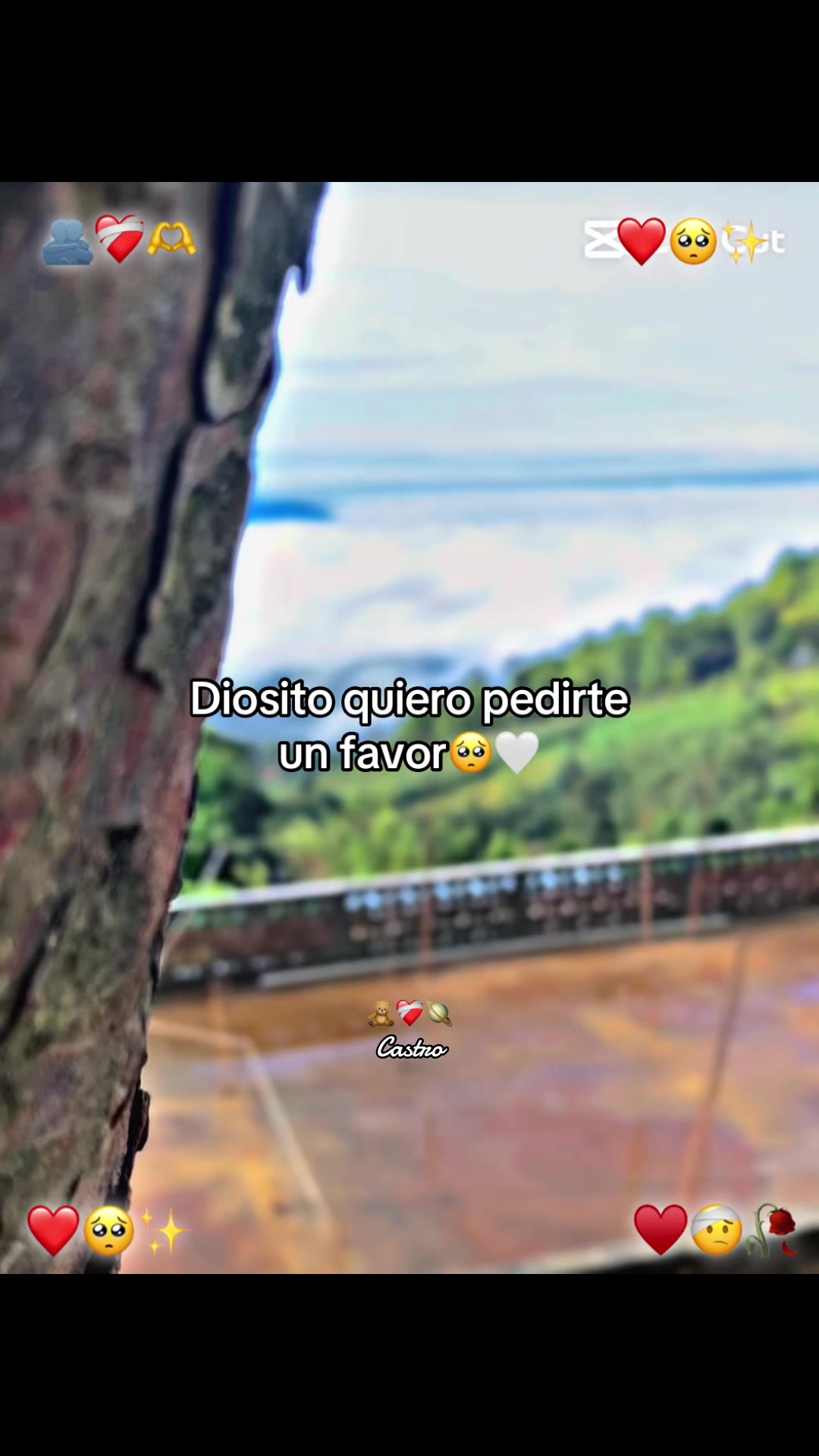 @❤️🫶🏻🥹:)>CASTRO ..”💗🥺🫧