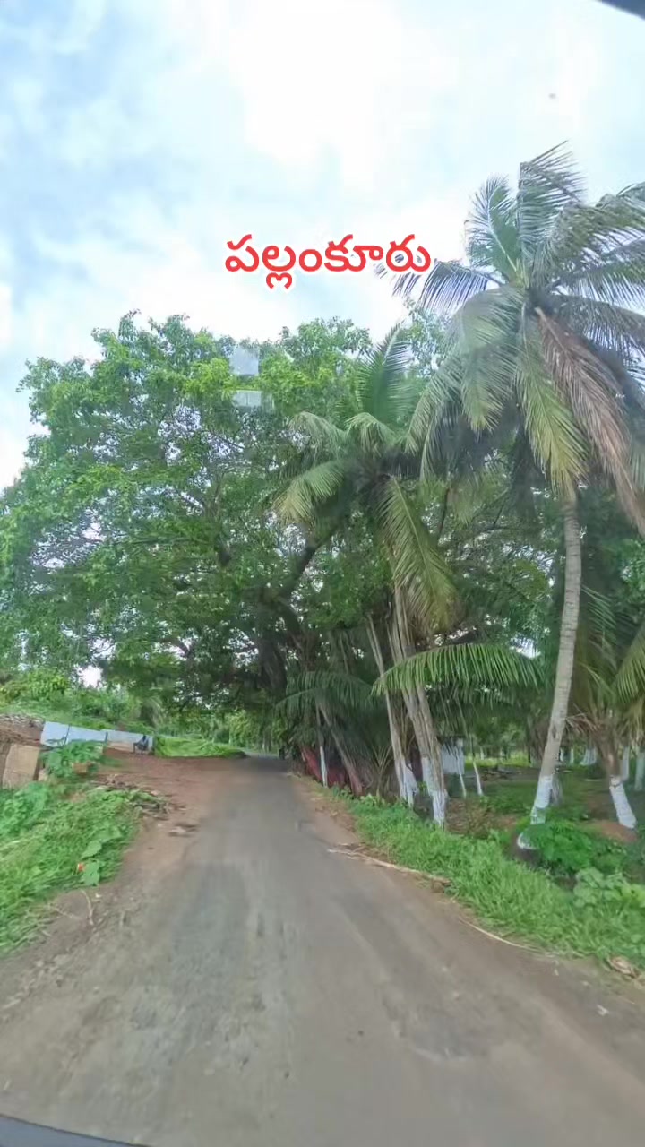 @😘🅁🄰🄼🅄😘బట్టెలంక కుర్రోడు