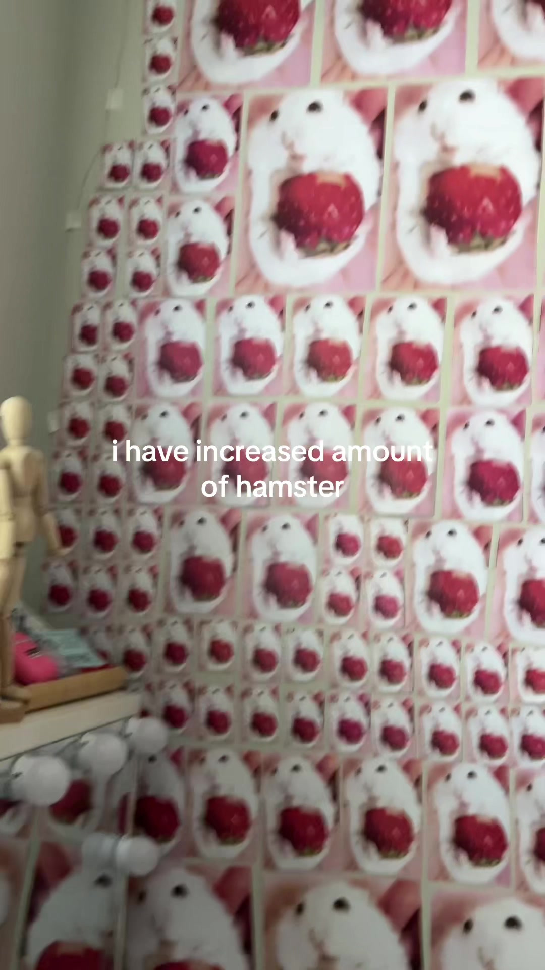 @🪼 𝗌𝖺𝗏𝖺𝗇𝗇𝖺𝗁 🫧