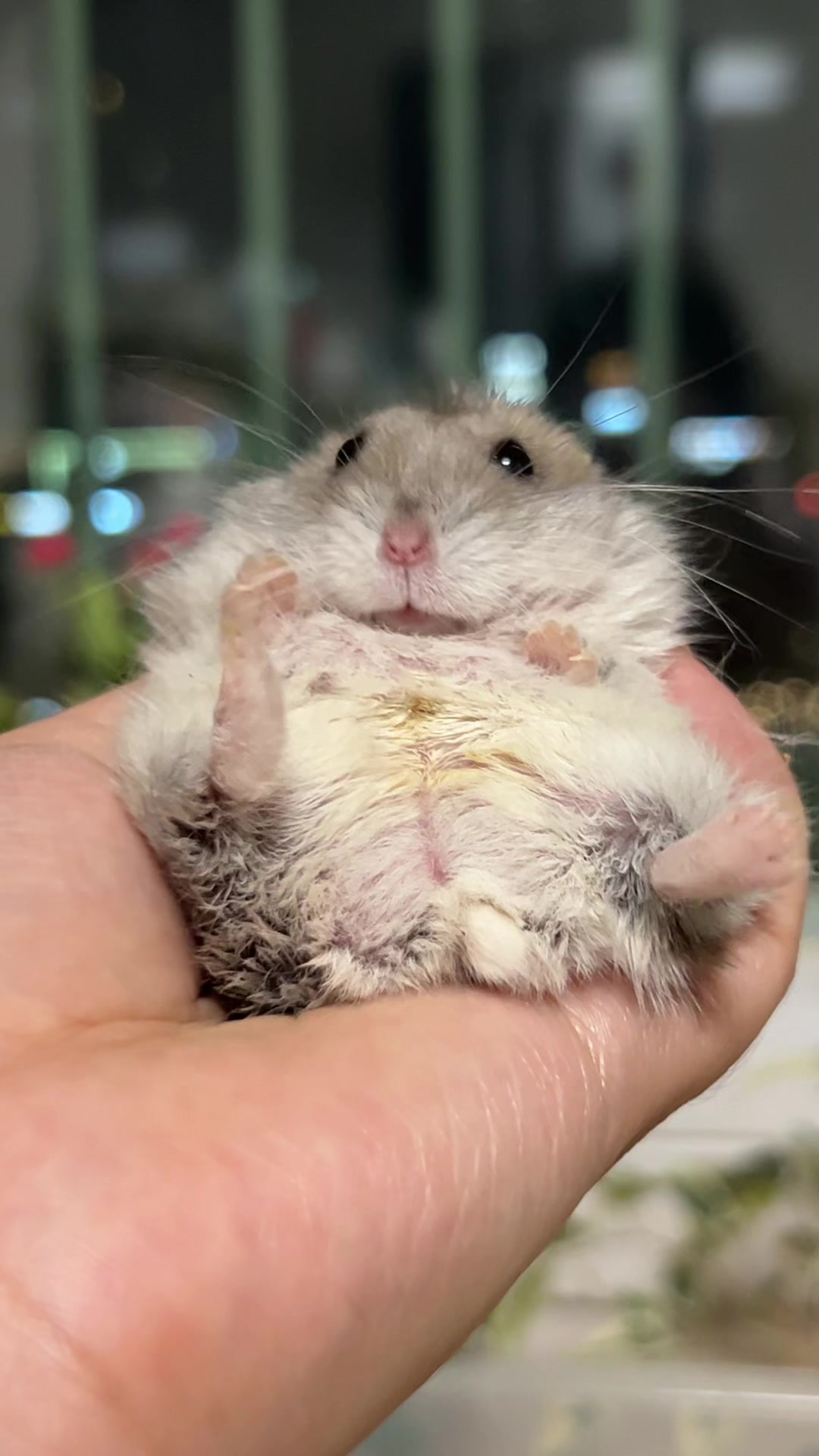 @𝒆𝒍𝒍𝒂✨