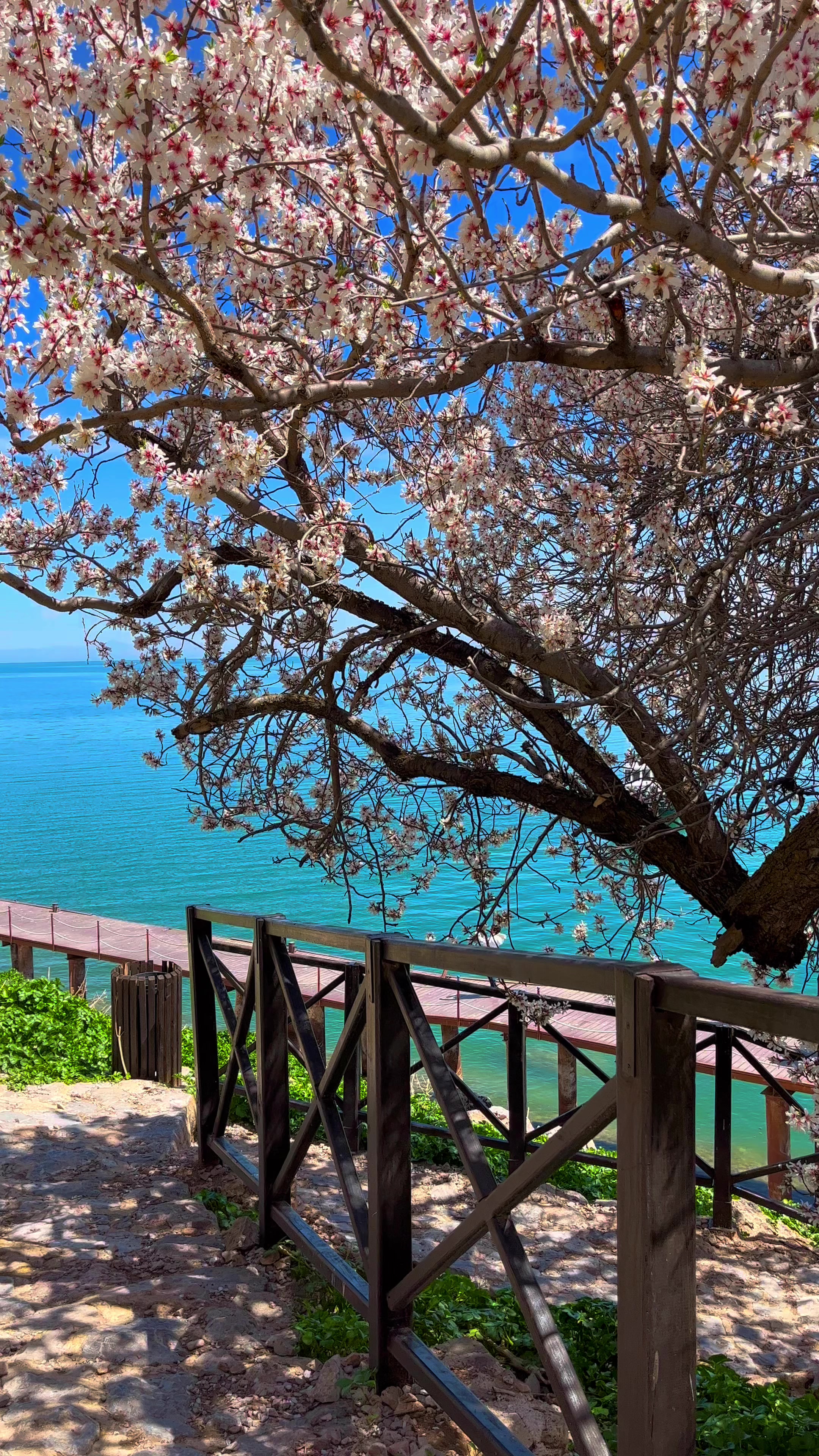 @Vandünyası