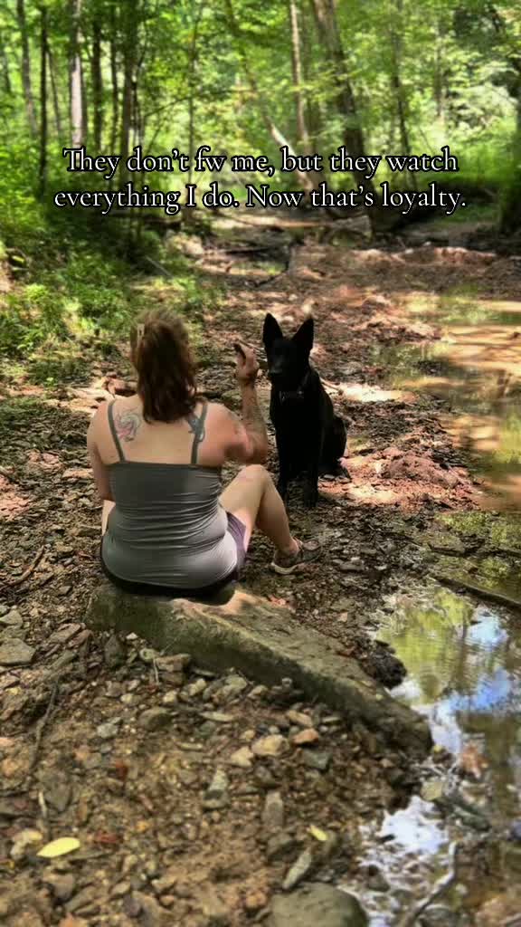 @🖤Kristin | Ironbound GSD🐾