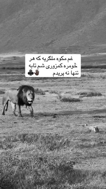 @🥷🏿کــــپــــچــــه🥷🏿