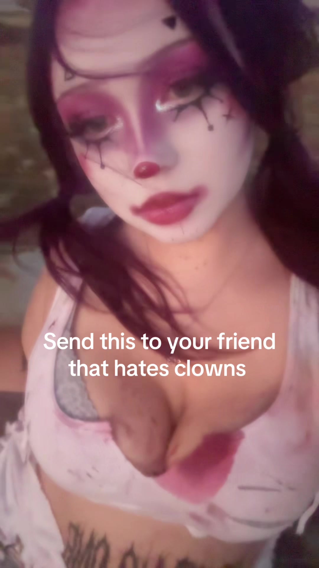 @Catt &trade;