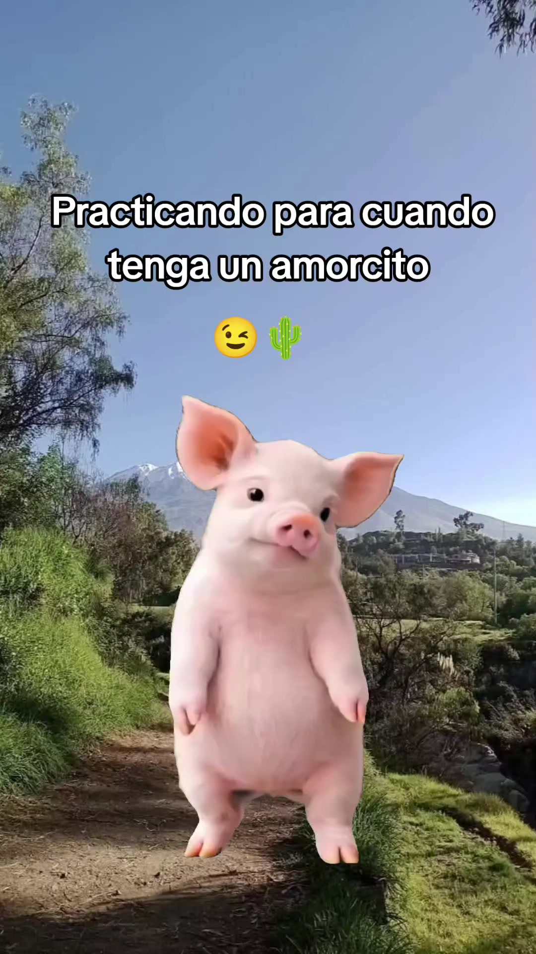 @❤️🪽𝐁𝐞𝐥𝐢𝐳 𝐛𝚞𝚕𝚖𝚊