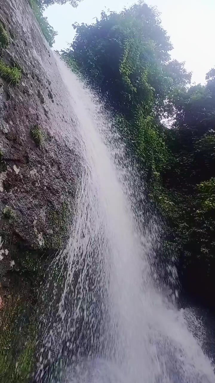 @R.P.N.(Arjun)